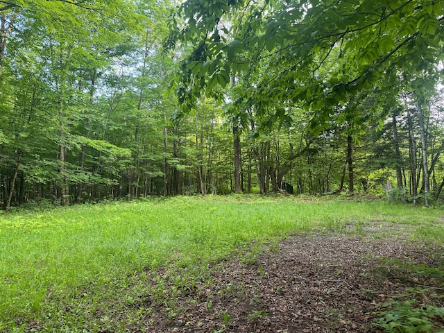 LOT17 Quarry Ave, Brownville, ME 04414 - photo 3