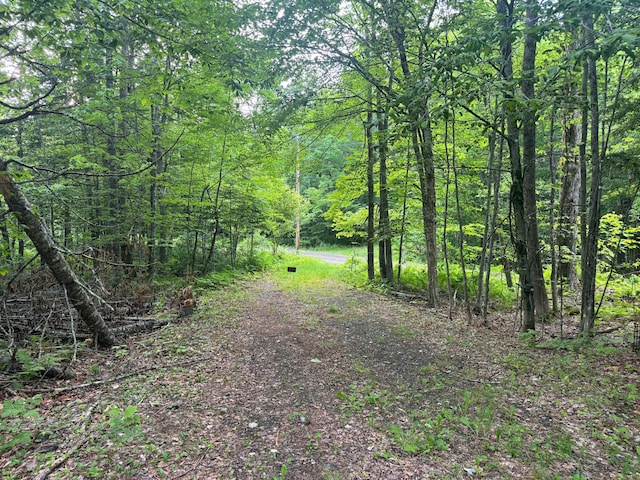 LOT17 Quarry Ave, Brownville, ME 04414 - photo 5