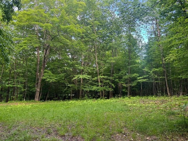 LOT17 Quarry Ave, Brownville, ME 04414 - photo 6