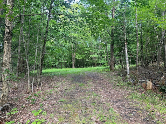 LOT17 Quarry Ave, Brownville, ME 04414 - photo 7