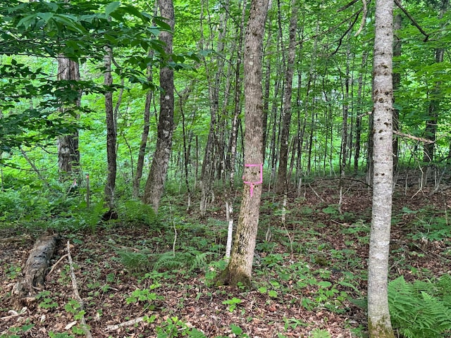 LOT17 Quarry Ave, Brownville, ME 04414 - photo 9