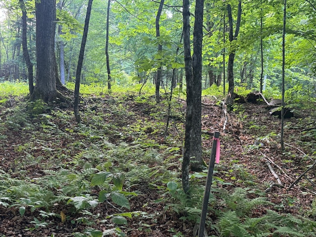 LOT17 Quarry Ave, Brownville, ME 04414 - photo 10