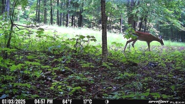 LOT17 Quarry Ave, Brownville, ME 04414 - photo 12