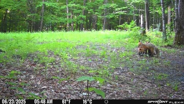 LOT17 Quarry Ave, Brownville, ME 04414 - photo 13