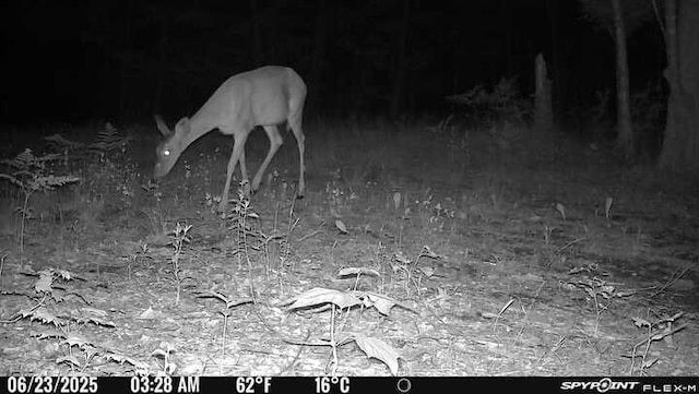 LOT17 Quarry Ave, Brownville, ME 04414 - photo 14