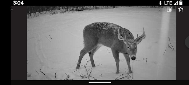LOT17 Quarry Ave, Brownville, ME 04414 - photo 15