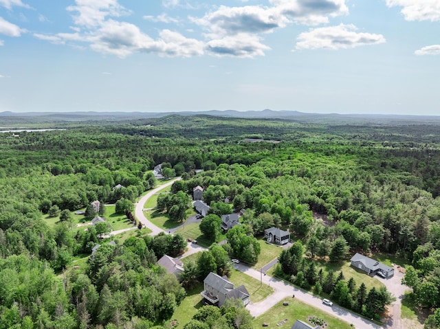 20 Hermon Hts, Hermon, ME 04401 - photo 8