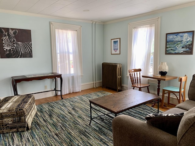 14 Third St, Eastport, ME 04631 - living area with radiator heating unit, ornamental molding, plenty of natural light, and wood finished floors