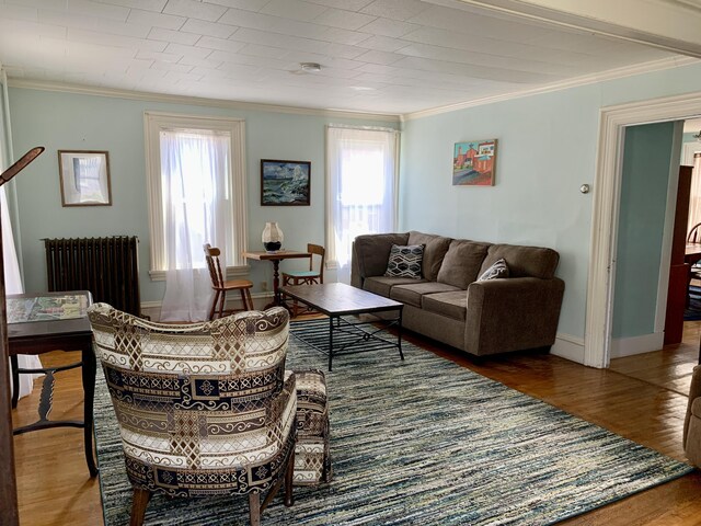 14 Third St, Eastport, ME 04631 - living area featuring radiator, wood finished floors, and ornamental molding