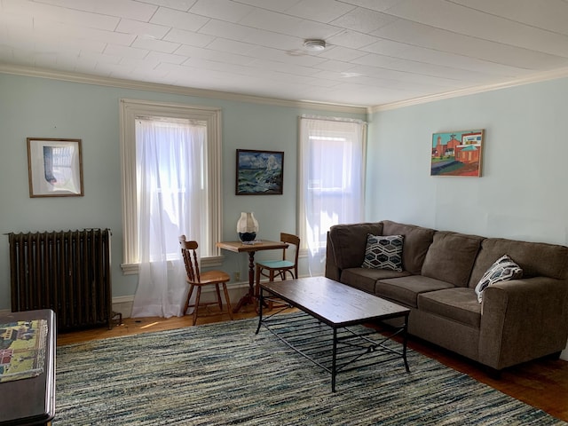 14 Third St, Eastport, ME 04631 - living room with radiator, wood finished floors, and crown molding