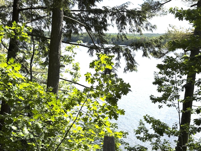 107 Haskell Ave, Raymond, ME 04071 - water view