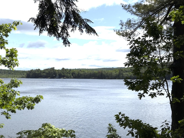 107 Haskell Ave, Raymond, ME 04071 - water view featuring a forest