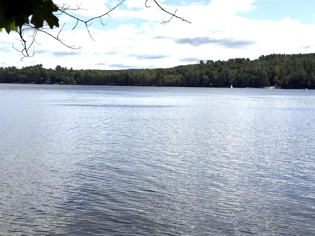 107 Haskell Ave, Raymond, ME 04071 - water view featuring a forest