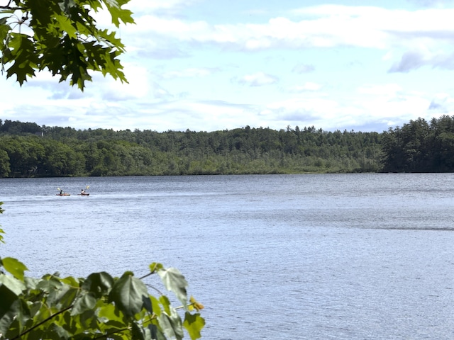 107 Haskell Ave, Raymond, ME 04071 - water view with a heavily wooded area