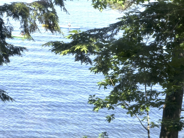 107 Haskell Ave, Raymond, ME 04071 - water view