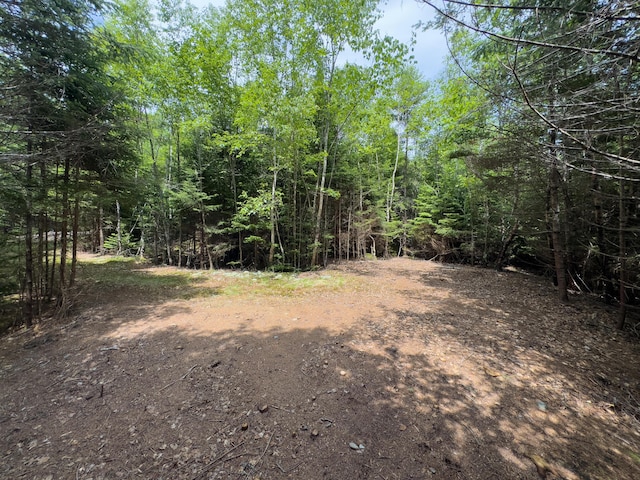LOTS2 Looks Cemetery Rd, Jonesboro, ME 04648 - photo 14