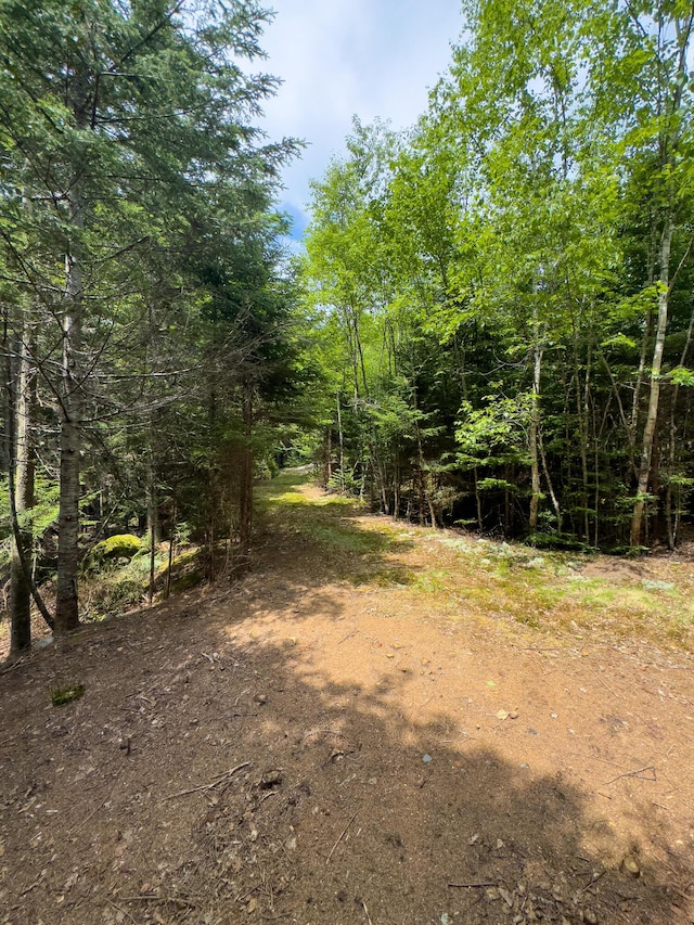 LOTS2 Looks Cemetery Rd, Jonesboro, ME 04648 - photo 13