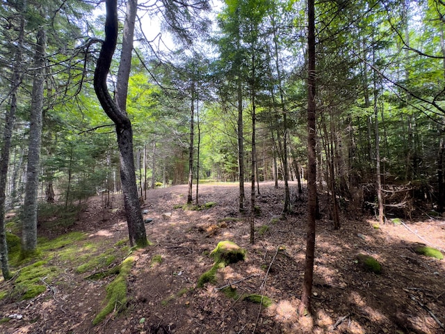 LOTS2 Looks Cemetery Rd, Jonesboro, ME 04648 - photo 16
