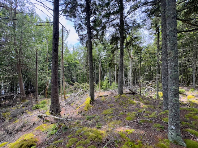 LOTS2 Looks Cemetery Rd, Jonesboro, ME 04648 - photo 20