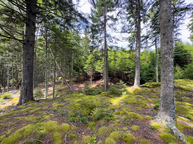 LOTS2 Looks Cemetery Rd, Jonesboro, ME 04648 - photo 21