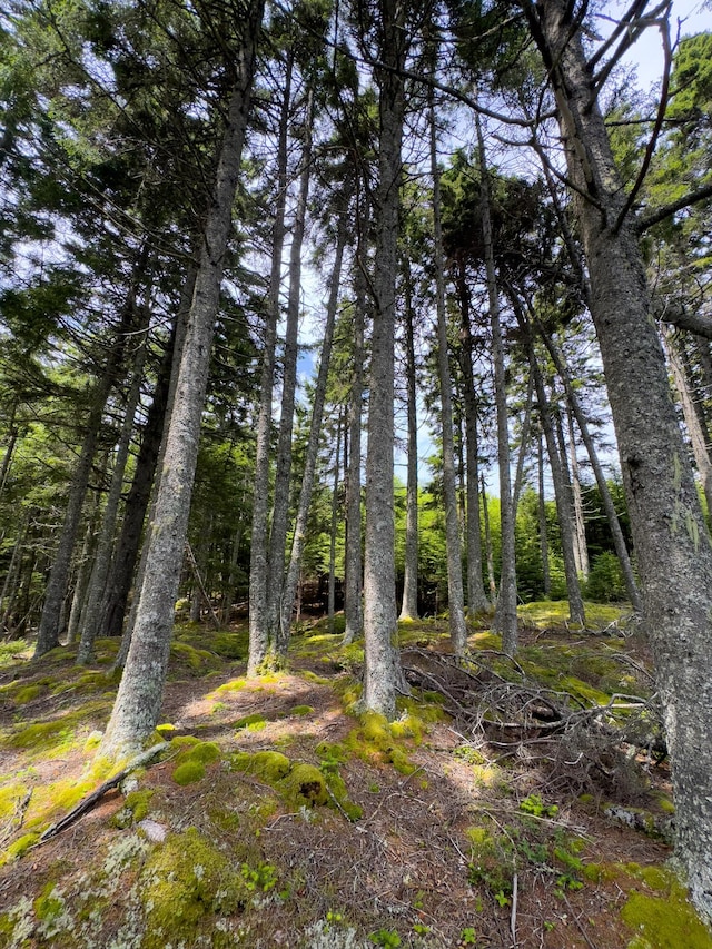 LOTS2 Looks Cemetery Rd, Jonesboro, ME 04648 - photo 22