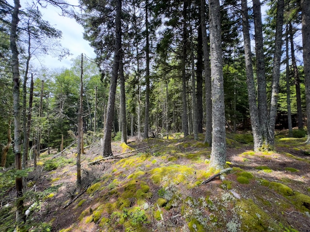 LOTS2 Looks Cemetery Rd, Jonesboro, ME 04648 - photo 23