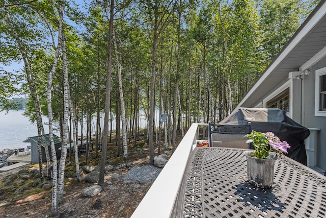 41 Leisure Ln, Frye Island, ME 04071 - photo 25