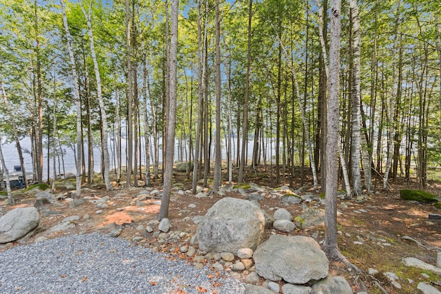 41 Leisure Ln, Frye Island, ME 04071 - photo 61