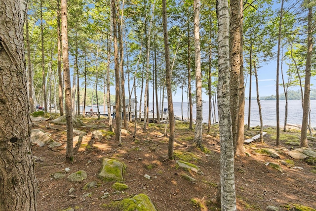 41 Leisure Ln, Frye Island, ME 04071 - photo 62
