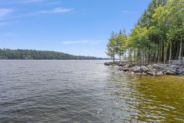 41 Leisure Ln, Frye Island, ME 04071 - photo 72
