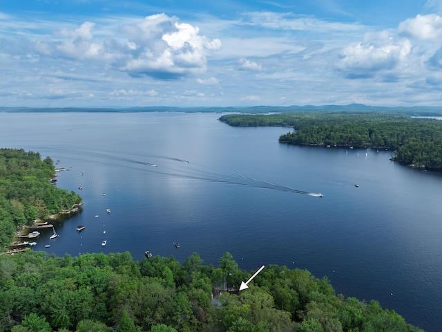 41 Leisure Ln, Frye Island, ME 04071 - photo 75