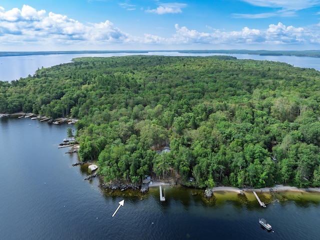 41 Leisure Ln, Frye Island, ME 04071 - photo 76