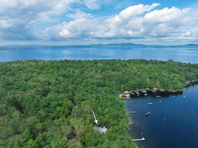 41 Leisure Ln, Frye Island, ME 04071 - photo 77