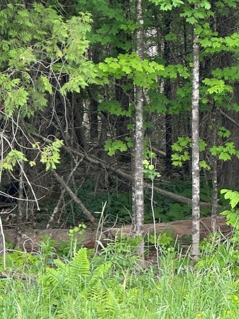 3-3-A Avenue Rd, Corinth, ME 04427
