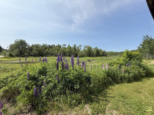 152 Kansas Rd, Milbridge, ME 04658 - view of yard featuring a view of rural / pastoral area