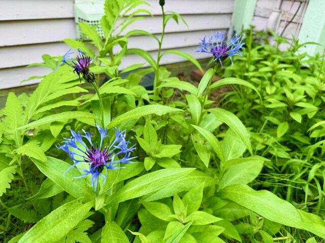 722 Belgrade Rd, Mount Vernon, ME 04352 - photo 88