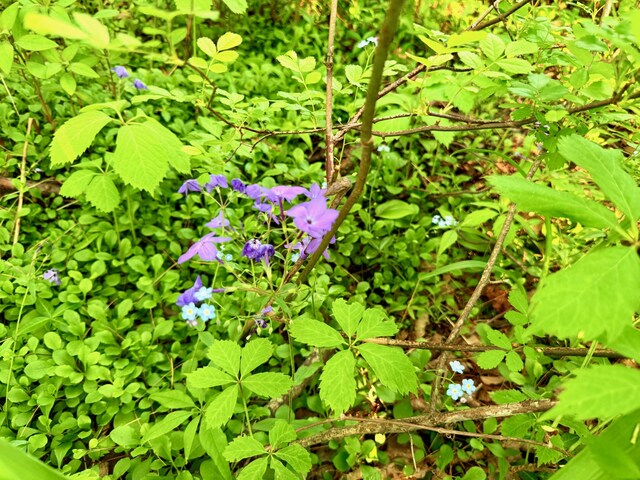 722 Belgrade Rd, Mount Vernon, ME 04352 - photo 92