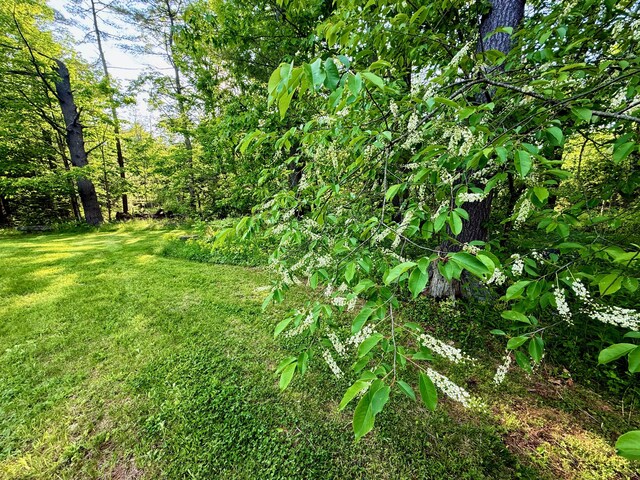 722 Belgrade Rd, Mount Vernon, ME 04352 - photo 100
