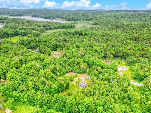 208 Benson Rd, West Gardiner, ME 04345 - drone / aerial view of a forest and a large body of water