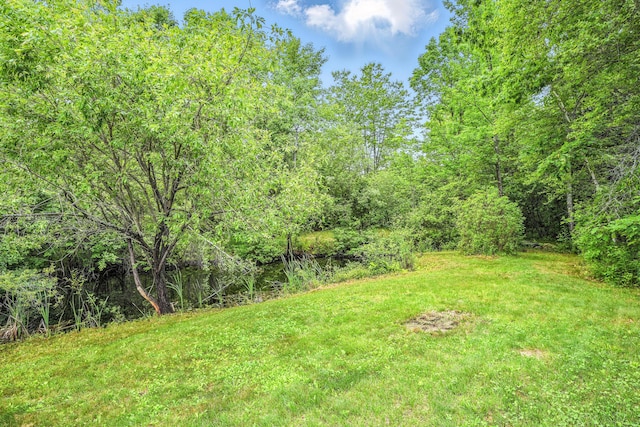 208 Benson Rd, West Gardiner, ME 04345 - view of grassy yard with a forest view
