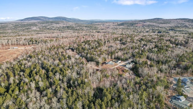 142 Sandy Acres Dr, Sullivan, ME 04664