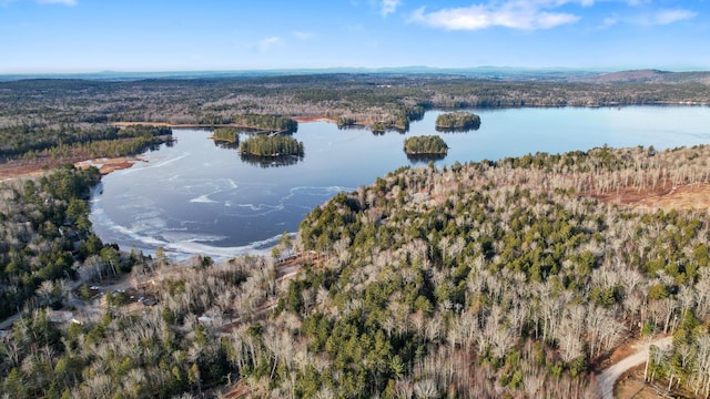 142 Sandy Acres Dr, Sullivan, ME 04664