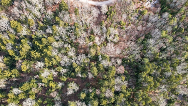 142 Sandy Acres Dr, Sullivan, ME 04664