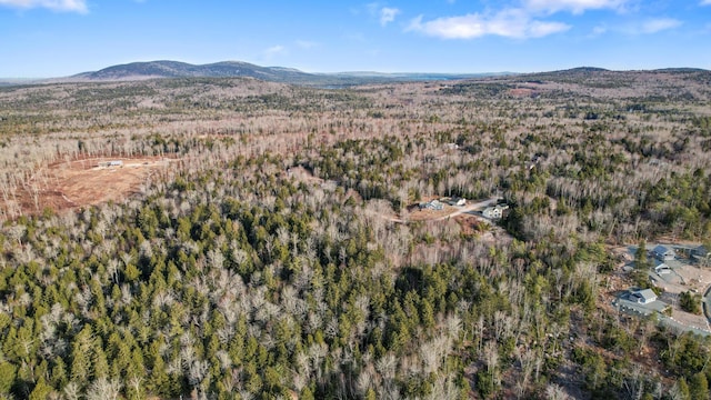 142 Sandy Acres Dr, Sullivan, ME 04664