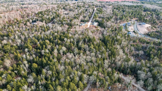 142 Sandy Acres Dr, Sullivan, ME 04664