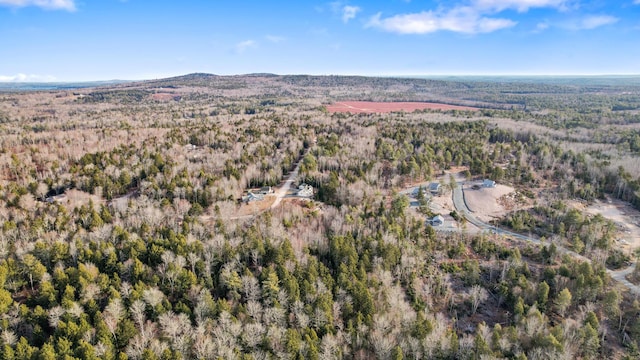 142 Sandy Acres Dr, Sullivan, ME 04664