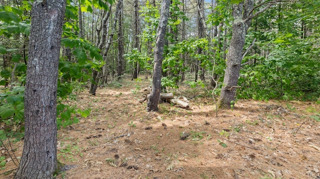 2857 Ohio St, Glenburn, ME 04401 - view of wooded area