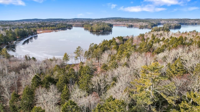 LOT25 Eagle Ln, Sullivan, ME 04664