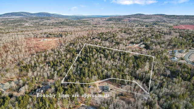 LOT25 Eagle Ln, Sullivan, ME 04664