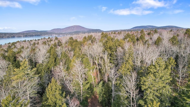 LOT25 Eagle Ln, Sullivan, ME 04664